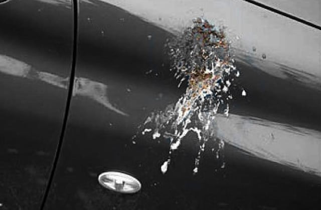 Comment enlever les fientes d’oiseaux de votre voiture sans abîmer la peinture