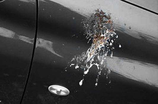Comment enlever les fientes d’oiseaux de votre voiture sans abîmer la peinture